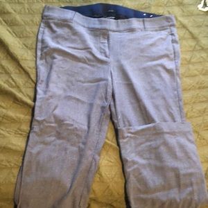 Lame Bryant Allie Navy and White Pants